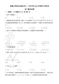 海南省东方市西南大学东方实验中学、三亚中学2023-2024学年九年级下学期入学考试数学试题（原卷版）