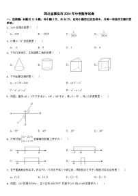 四川省雅安市2024年中考数学试卷【附真题答案】