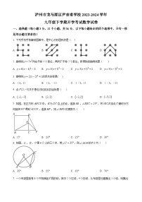 四川省泸州市龙马潭区尹吉甫学校2023-2024学年九年级下学期开学数学试题（原卷版）