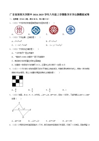 广东省深圳大学附中2024-2025学年八年级上学期数学开学自测模拟试卷