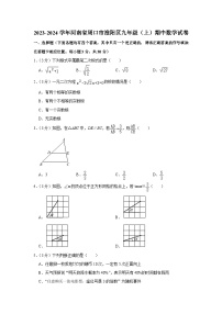 2023-2024学年河南省周口市淮阳区九年级（上）期中数学试卷