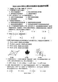 河南省郑州枫杨外国语学校（东枫杨）2023-—2024学年上学期九年级数学期中试卷