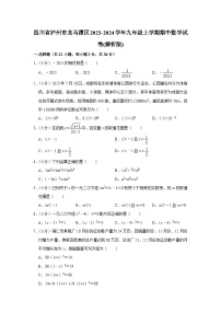 四川省泸州市龙马潭区2023-2024学年九年级上学期期中数学试卷