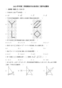 浙江省金华市第五中学2023-2024学年八年级下学期 开学考试数学试题（原卷版+解析版）