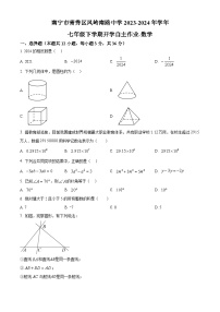 广西南宁市青秀区凤岭南路中学2023-2024学年下学期开学考试七年级数学试题（原卷版+解析版）