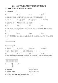 云南省曲靖市麒麟区第六中学2024-2025学年九年级上学期数学开学试题（原卷版+解析版）