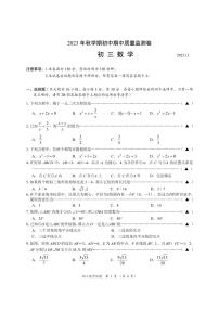 江苏省无锡市滨湖区2023-2024学年九年级上学期期中数学试卷