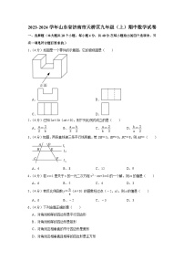 2023-2024学年山东省济南市天桥区九年级（上）期中数学试卷