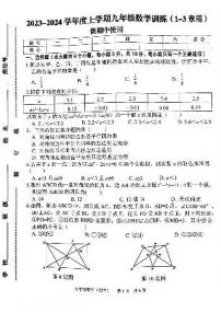 江西省抚州市临川区初中学校期中联考2023-2024学年九年级上学期11月期中数学试题