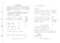 山东省济南市济阳区2023—-2024学年八年级上学期11月期中数学试题