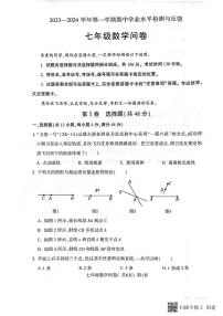 山东省聊城市阳谷县2023-2024学年七年级上学期11月期中数学试题