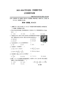 湖北省武汉市东湖高新区2023—2024学年七年级上学期期中数学试卷