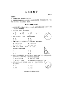 山东省潍坊市高密市2023-—2024学年九年级上学期11月期中数学试题