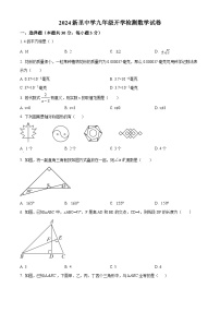 河南省信阳市淮滨县新里中学2024-2025学年九年级上学期开学检测数学试题（原卷版）