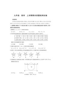 河南省巩义市2023-2024学年九年级上学期期末质量检测数学试题