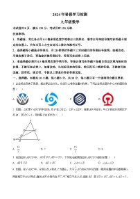 山东省菏泽市成武县育青中学2024-2025学年九年级上学期开学考试数学试题（原卷版+解析版）