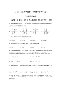 广东省湛江市雷州市2023-2024学年九年级上学期期末数学试题(含解析)