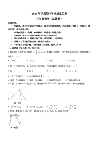 2023-2024学年湖南省永州市道县九年级（上）期末数学试卷