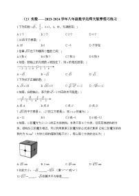 初中数学北师大版（2024）八年级上册6 实数课时作业