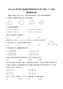 2023-2024学年四川省成都市武侯区西川中学八年级（下）期末数学模拟试卷（含答案）
