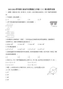 2023-2024学年浙江省金华市婺城区九年级（上）期末数学试卷（含答案）