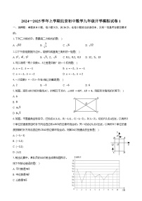 2024—2025学年上学期北京初中数学九年级开学模拟试卷1（含答案）