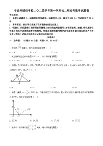 浙江省宁波外国语学校2024-2025学年八年级上学期开学数学试题（原卷版+解析版）