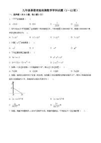 吉林省长春市第八十七中学2024-2025学年九年级上学期开学考试数学试题（原卷版）