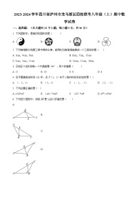 四川省泸州市龙马潭区2023-2024学年八年级上学期期中数学试题