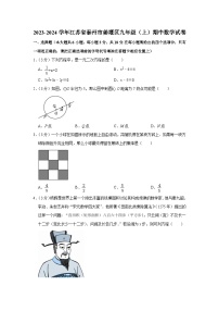 2023-2024学年江苏省泰州市姜堰区九年级（上）期中数学试卷