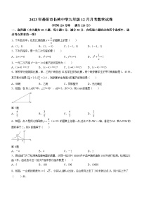 2023-2024学年湖南省岳阳市经开区长岭中学九年级（上）月考数学试卷（12月份）