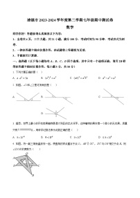 贵州省贵阳市清镇市2023-2024学年七年级下学期期中数学试题（原卷版）