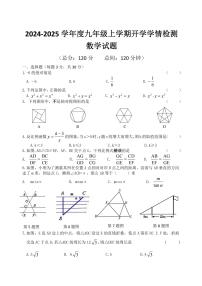 黑龙江省哈尔滨德强学校2024-2025学年九年级上学期开学测试数学试卷+