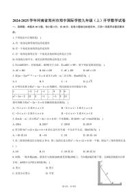 [数学]2024～2025学年河南省郑州市郑中国际学校九年级(上)开学数学试卷(有答案)