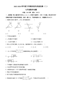 湖北省荆州市石首市2023-2024学年七年级下学期期末数学试题（原卷版）