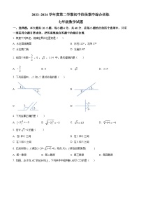 福建省龙岩市永定区2023-2024学年七年级下学期期中数学试题（原卷版）