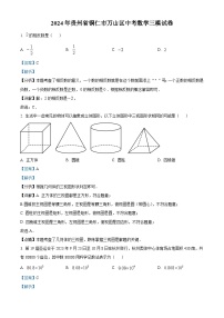 2024年贵州省铜仁市万山区九年级中考数学三模试题（解析版）