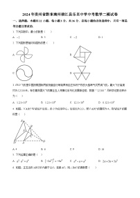 2024年贵州省黔东南州榕江县乐里中学中考数学二模试题（原卷版）