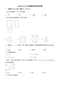 2024年广东省广州市执信中学南沙学校中考模拟 数学试题（四）（原卷版）