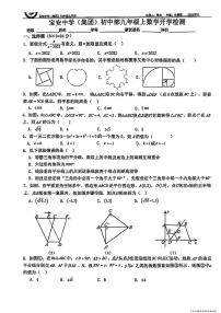 广东省深圳市宝安中学2024-2025年九年级上学期开学考试数学题