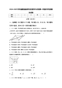 2024-2025学年福建省福州市名校数学九年级第一学期开学检测模拟试题【含答案】