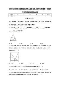 2024-2025学年福建省龙岩市永定区金丰片数学九年级第一学期开学教学质量检测模拟试题【含答案】