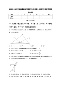 2024-2025学年福建省寿宁县数学九年级第一学期开学质量检测模拟试题【含答案】