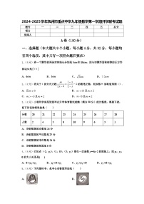 2024-2025学年抚州市重点中学九年级数学第一学期开学联考试题【含答案】