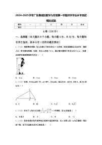 2024-2025学年广东惠城区数学九年级第一学期开学学业水平测试模拟试题【含答案】