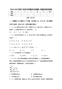 2024-2025学年广东沧江中学数学九年级第一学期开学统考试题【含答案】