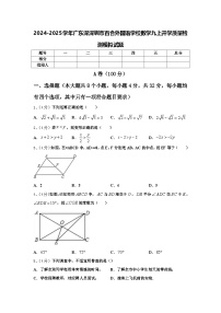 2024-2025学年广东深深圳市百合外国语学校数学九上开学质量检测模拟试题【含答案】