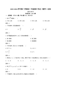 广东省湛江市雷州市第二中学2023-2024学年七年级下学期4月期中考试数学试卷(含答案)
