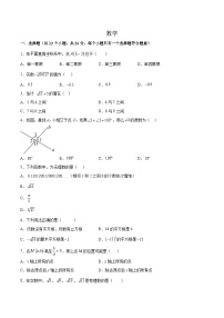 贵州省黔南布依族苗族自治州2023-2024学年七年级下学期期中考试数学试卷(含解析)