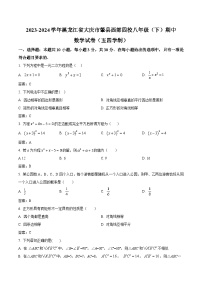 黑龙江省大庆市肇源县西部四校（五四制）2023-2024学年八年级下学期期中数学试卷(含答案)